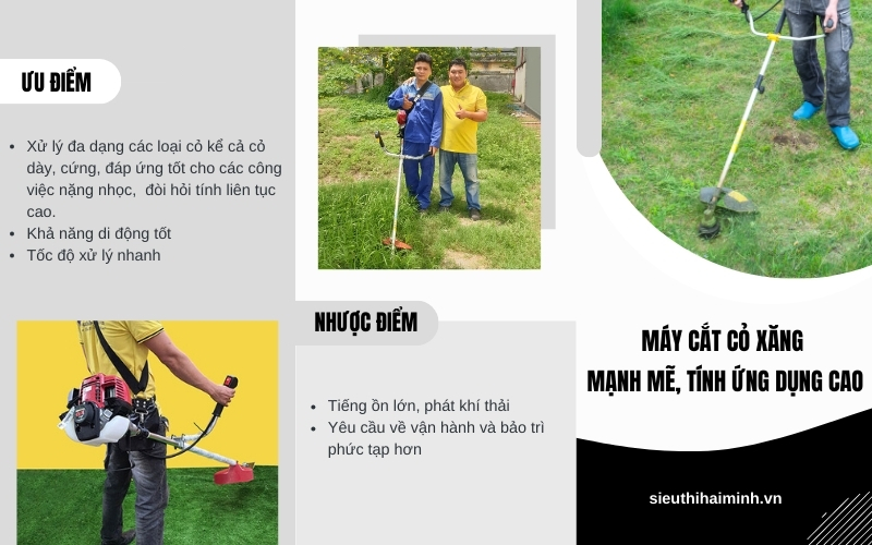 Máy cắt cỏ xăng – Mạnh mẽ, tính ứng dụng cao